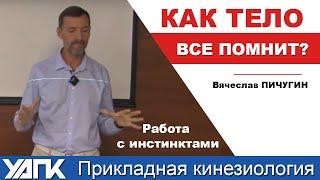 Как влияют инстинкты Вячеслав Пичугин