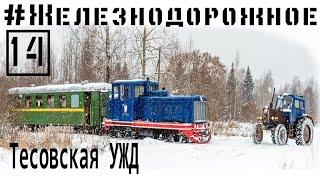 Катаемся по тесовсовской узкоколейке на тепловозе ТУ4 с вагонами ПВ40 #Железнодорожное - 14 серия