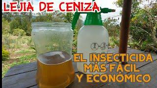 LEJIA DE CENIZA  INSECTICIDA FÁCIL & ECONÓMICO  HIDRÓXIDO DE POTASIO  ECOLÓGICO 