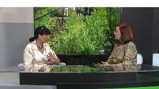 Деловой разговор о полчищах комаров в Бийске Бийское телевидение
