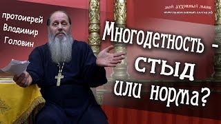 Многодетность - стыд или норма?