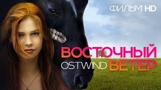 Восточный ветер Ostwind Фильм HD