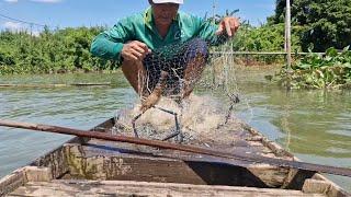 chài được tôm càng xanh với tra với nhiều cá lắm mọi người ơi