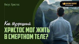 Как безгрешный Христос мог жить в смертном теле?  Библия говорит  2000