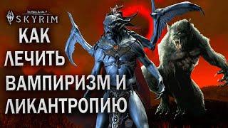 Излечение от вампиризма и ликантропии в Скайриме - Skyrim гайд