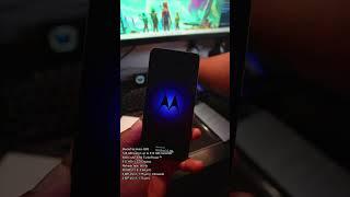 £169 MOTOROLA MOTO g23  Quick UNBOXING