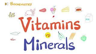 Vitamins vs Minerals - What’s the difference? - Diet & Nutrition Series