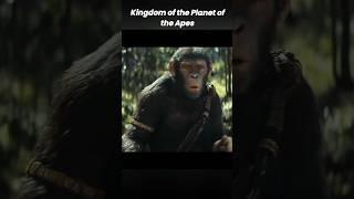 Kingdom of The  planet of the apes #freyaallan #owenteague #viral #shorts #shortsfeed #trailer #new