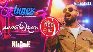 Sanwedana  සංවේදනා  Shane Zing  Coke RED  @RooTunes