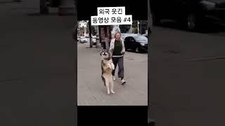 해외 웃긴 영상 #웃김 #해외