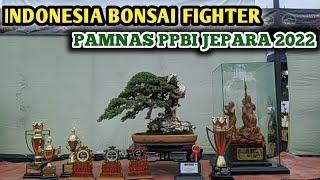 Indonesia Bonsai Fighter Pamnas Ppbi Jepara 2022