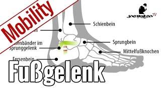 Übungen für mehr Beweglichkeit im Fußgelenk  Ankle Mobility