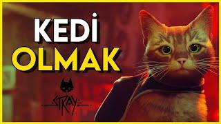 Ben bir kediyim ve bu oyun MUHTEŞEM  Stray Oynanış & İnceleme