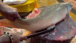 Amazing Fish Cutting Skills  Big Mrigal Fish Cutting By Expert Fish Cutter