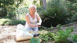 Organic Gardening Why mulch your organic herb garden?