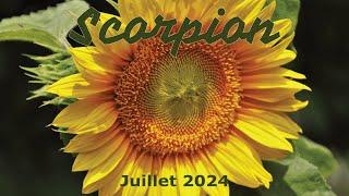 SCORPION - juillet 2024  Un nettoyage émotionnel 