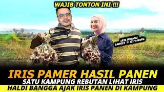 SATU KAMPUNG REBUTAN LIHAT IRIS BELLAHALDI SABRI BANGGA AJAK IRIS PANEN DI KAMPUNG