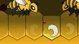 Варроа клещ. Как живет он  среди пчёл?  Что такое варроатоз?