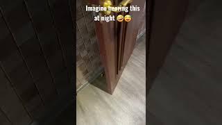 Imagine Hearing This Door at Night  #shorts #funny #funnymoments