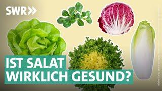 Gartensalate Bittersalate & Co. – das steckt wirklich drin  Marktcheck SWR