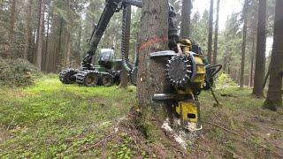 John Deere 1270G & MS 462 auf Käferholz - Jagd  1  # 