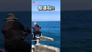 【重磯】超巨釣獲市價破萬的夢幻魚 #花蓮東堤 #重磯 #石鯛 #fishing