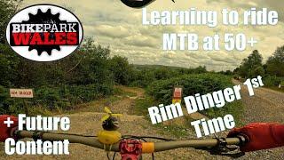 BPW Rim Dinger  BPW Rim Dinger first time  Bike Park Wales Rim Dinger  #mtb #downhill #bpw