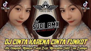 DJ AKU HANYALAH MANUSIA BIASA FUNKOT TERBARU 2024  DJ CINTA KARENA CINTA FUNKOT  DJ SUDI RMX