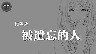 歐陽朵 - 被遺忘的人「你是一直深藏心底，卻觸碰不到的人」動態歌詞版