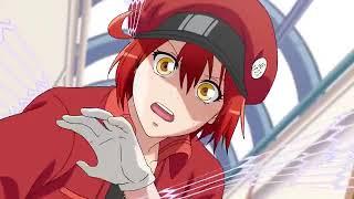 Hataraku Saibou Cells at work episode 1 dubbing Indonesia