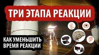 Скорость реакции и аима в шутерах Как улучшить реакцию и аим