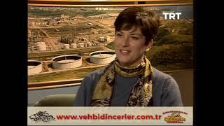 Vehbi DİNÇERLER - Petrokimya Sektörü