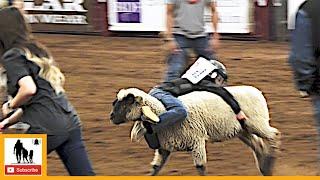 78 Rider Mutton Bustin Slack - 2023 ABC Pro Rodeo