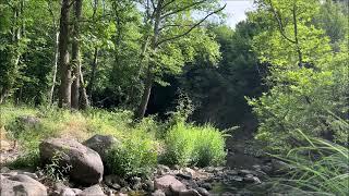 Soothing sounds in the steep stream.. Water and birds.. Calmness peace and meditation in the forest