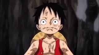 Confused Luffy