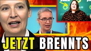 SIEGESREDE  ALICE WEIDEL WIRD EMOTIONAL  IHRE BESTE REDE GEHT GERADE AUF YOUTUBE VIRAL