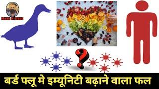 immunity boosting fruit for bird flu  बर्ड फ्लू मे इम्यूनिटी बढ़ाने वाला फल  मन की बात by Ricky