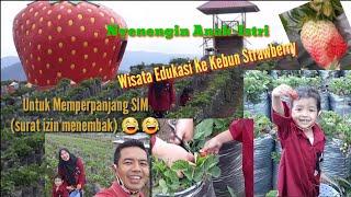 Family Time Ajak Anak Dan Istri Hunting Buah Strawberry. Memperpanjang SIM surat izin menembak