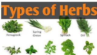 Types of Herbs different types of Herbs Names  Herbs   lunatic Cook