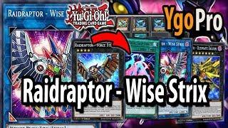 Raidraptor - Wise Strix YGOPRO - NEEDLEFIBER 2.0 Raidraptor link is BONKERS