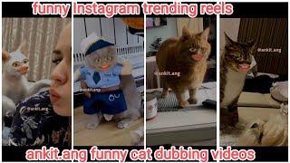Ankit.ang funny cat dubbing videos part- 6  funny Instagram trending reels videos 
