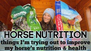 A Different Approach to Horse Nutrition  How I Am Trying to Improve my Horses Nutrition & Health
