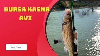 Bursa Lrf Tatlı Su Kefali  Kasna  Balık Avı - Bursa Balık Avı  #balıkçılık #lrf #balıkavı #fishing