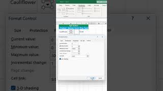 Spin button in excel