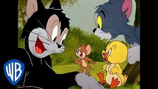 Tom & Jerry  Best Side Characters  Classic Cartoon Compilation  WB Kids