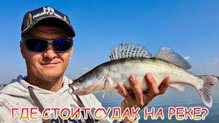 Где стоит судак? Джиг с лодки на Дону