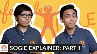 EXPLAINER Part 1 What you need to know about SOGIE