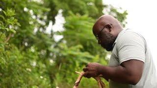 Homegrown Foodways in West Virginia Foraging and Relations with Jonathan Hall