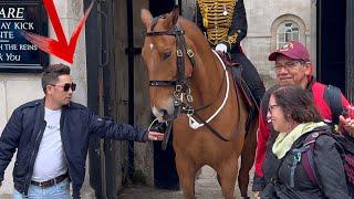 GET YOUR HANDS OFF MY HORSE - Kings Guard Yanks Off Reins from Tourist