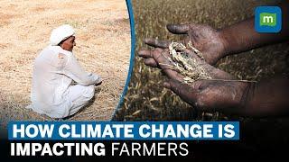 How Unseasonal Rains Impacted Indian Farmers  Climate Change Affect Agriculture  Short Documentary